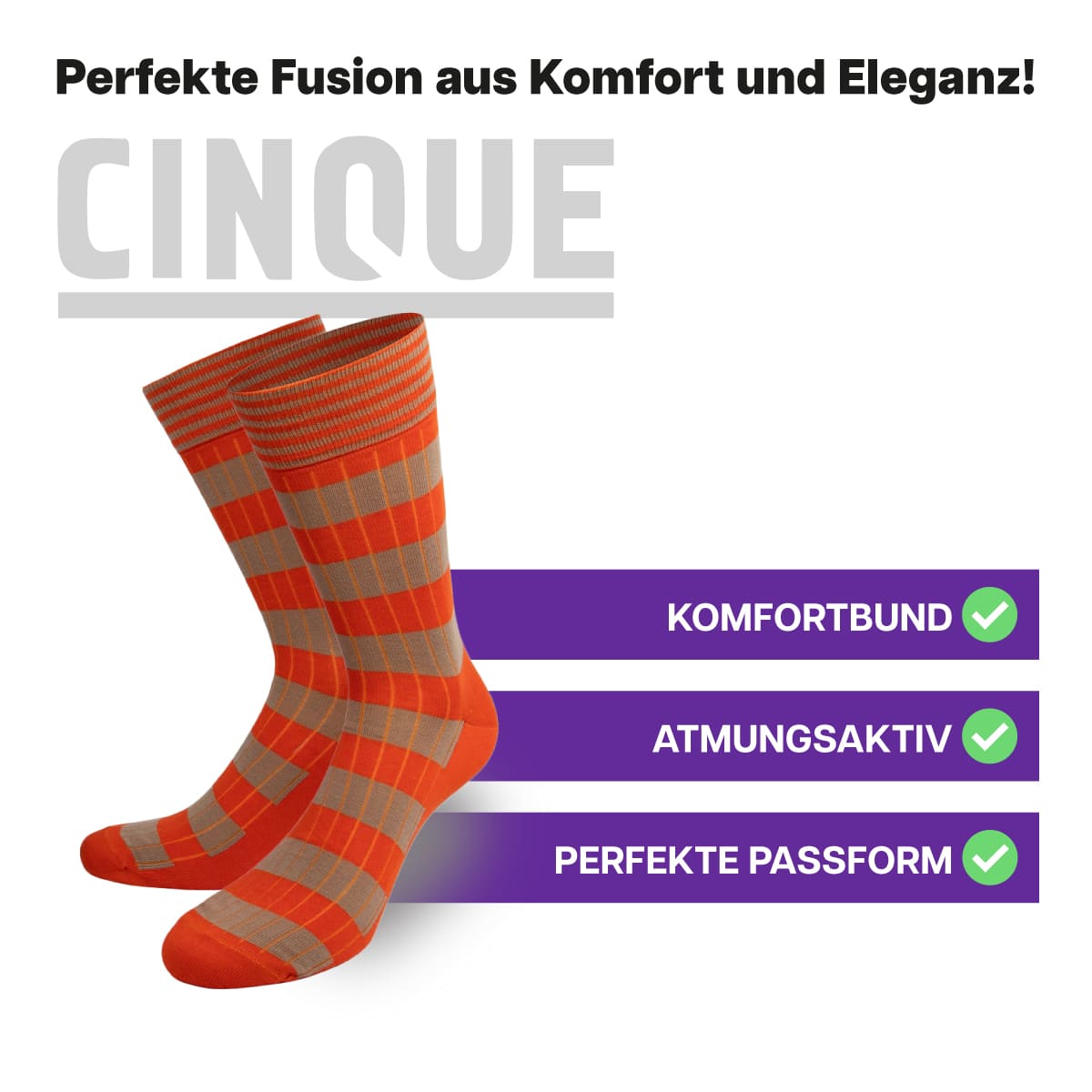 CINQUE SOCKEN Streifen