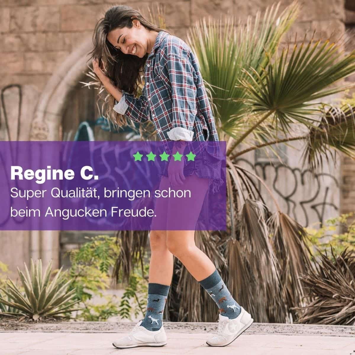 Hunde Socken von PATRON SOCKS vor Palme