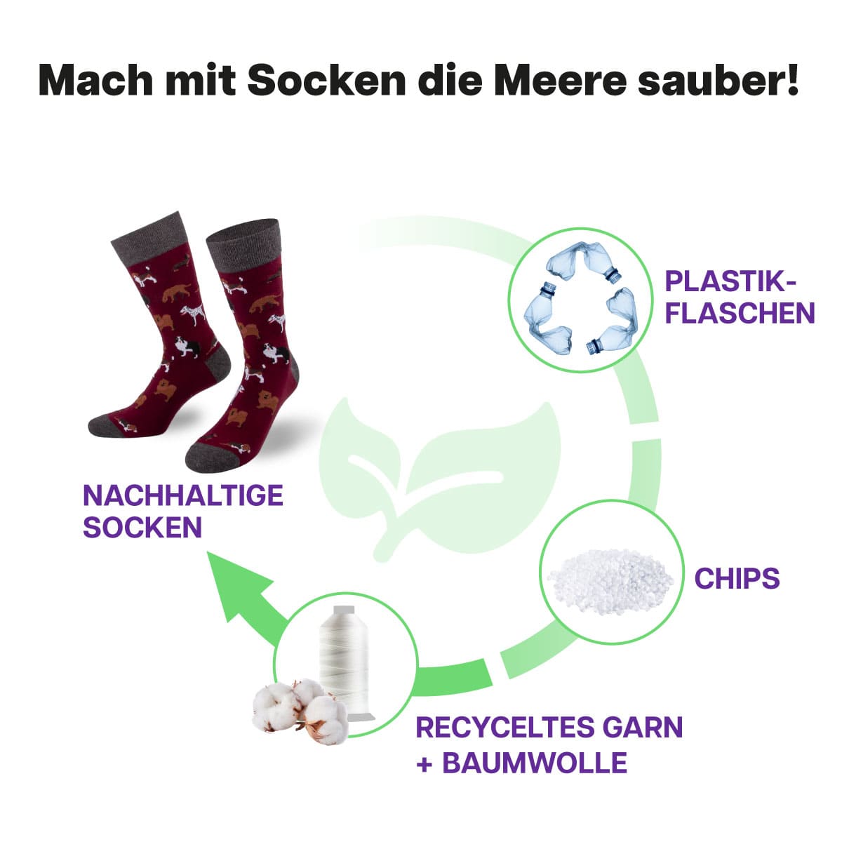 Recycling Prozess der bordeaux roten Hunde Socke von PATRON SOCKS