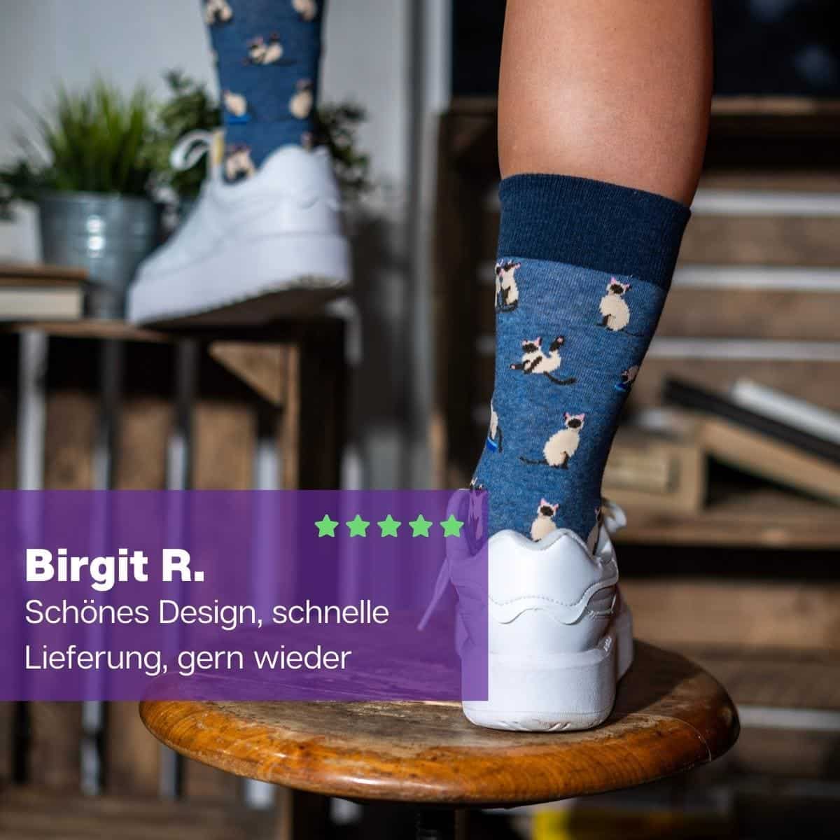 Katzen Socken von PATRON SOCKS auf Hocker