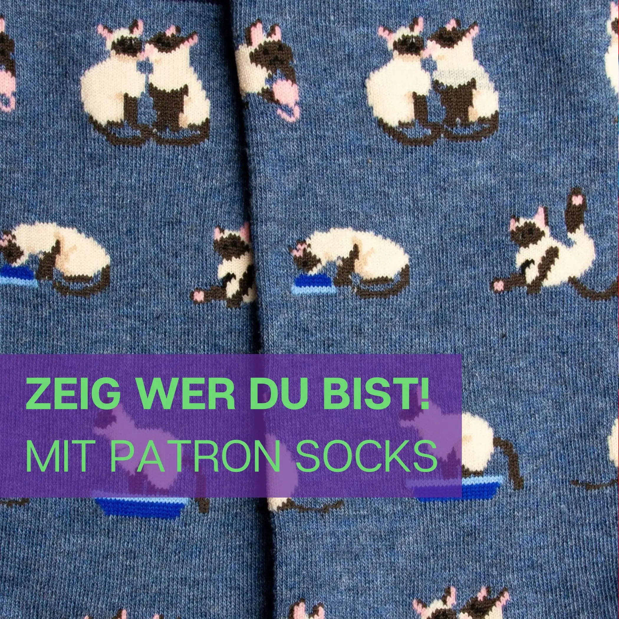 Nahaufnahme des verspielten blauen Katzen Designs von PATRON SOCKS