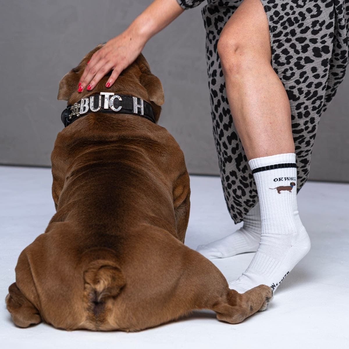 EVERY DAY MOODS – 8er Pack