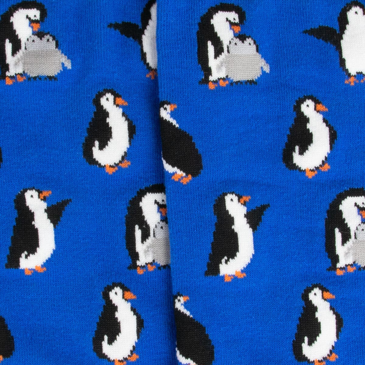 Nahaufnahme der blauen Pinguin Socken von PATRON SOCKS