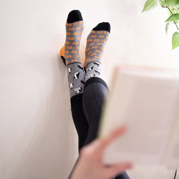 Pinguin Socken von PATRON SOCKS an Wand 
