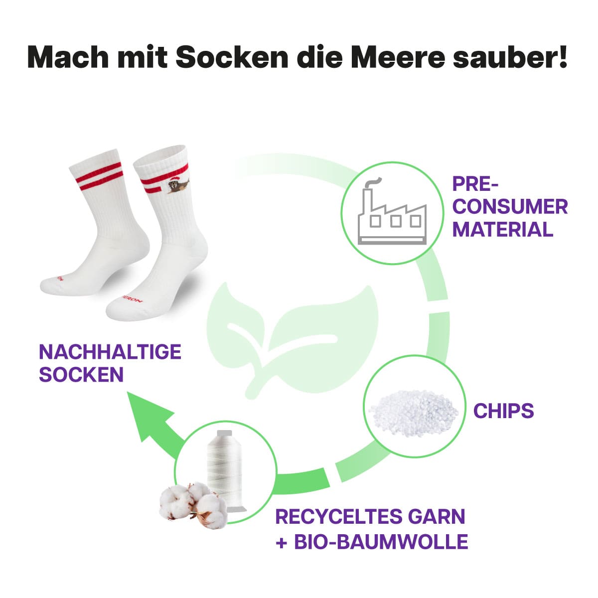 XMAS Robben Sportsocken